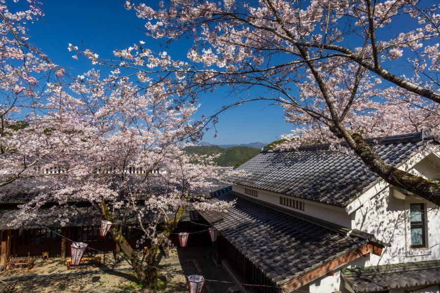 🏞️ 마키노하라 공원 (牧之原公園) 이미지 1